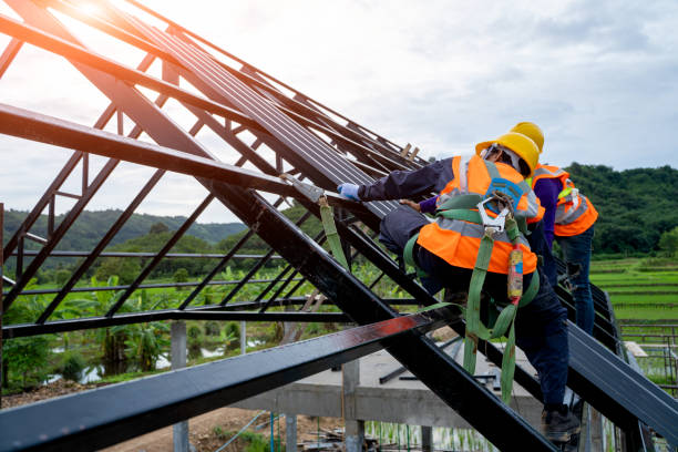 Best Roof Maintenance Services  in Saint Johns University, MN