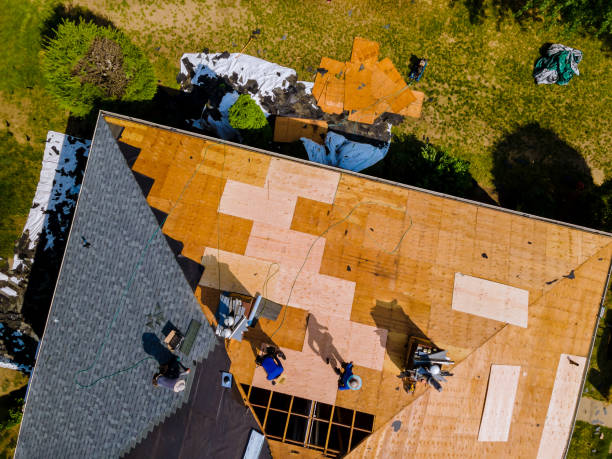 Best New Roof Installation  in Saint Johns University, MN