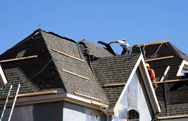Best New Roof Installation  in Saint Johns University, MN