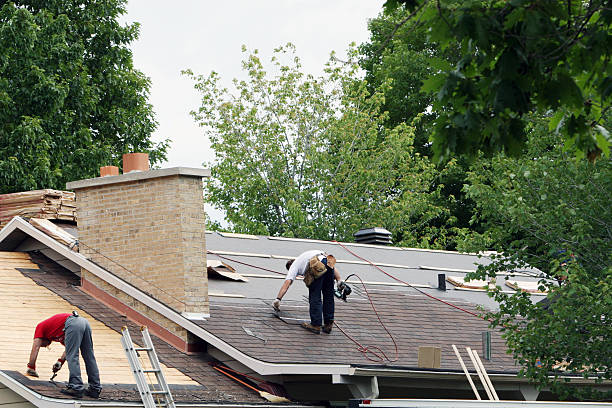 Best Storm Damage Roof Repair  in Saint Johns University, MN