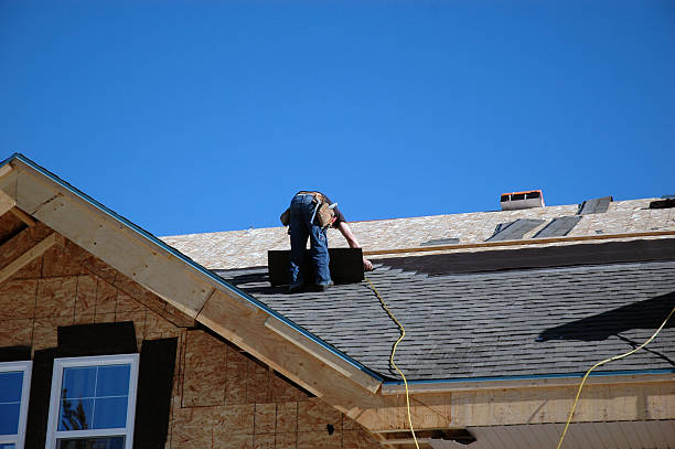Best Gutter Installation and Roofing  in Saint Johns University, MN