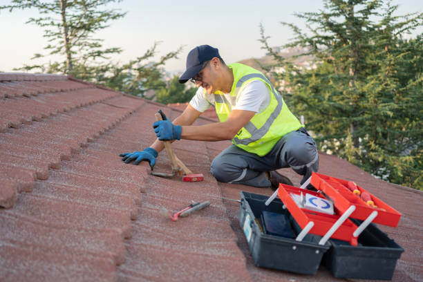 Best Shingle Roofing Installation  in Saint Johns University, MN