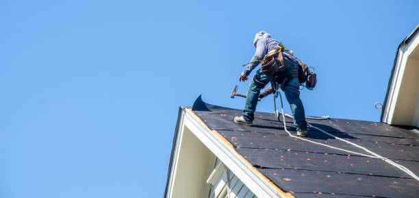 Sealant for Roof in Saint Johns University, MN